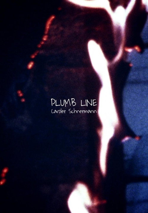 Movie poster for Plumb Line (1971)