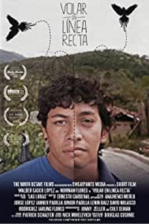 Movie poster for To Fly in a Straight Line (2013)