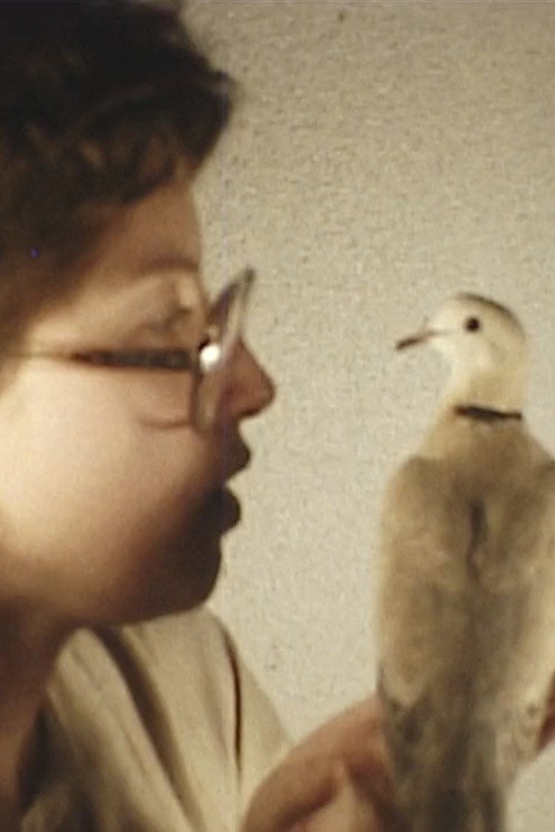 Movie poster for Bird (1976)