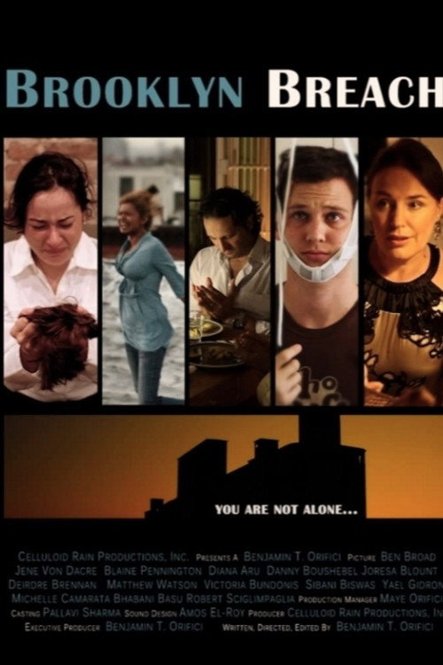 Movie poster for Brooklyn Breach (2012)