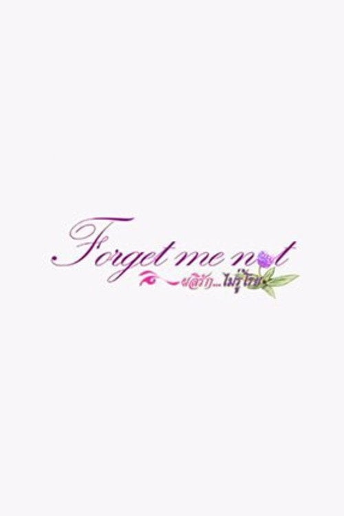 Movie poster for Forget Me Not (2011)