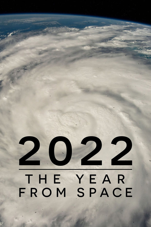2022: The Year from Space poster
