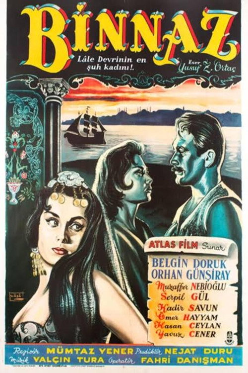 Movie poster for Binnaz (1959)