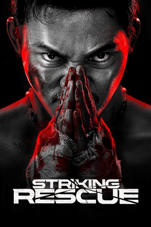 Movie poster for Striking Rescue (2024)