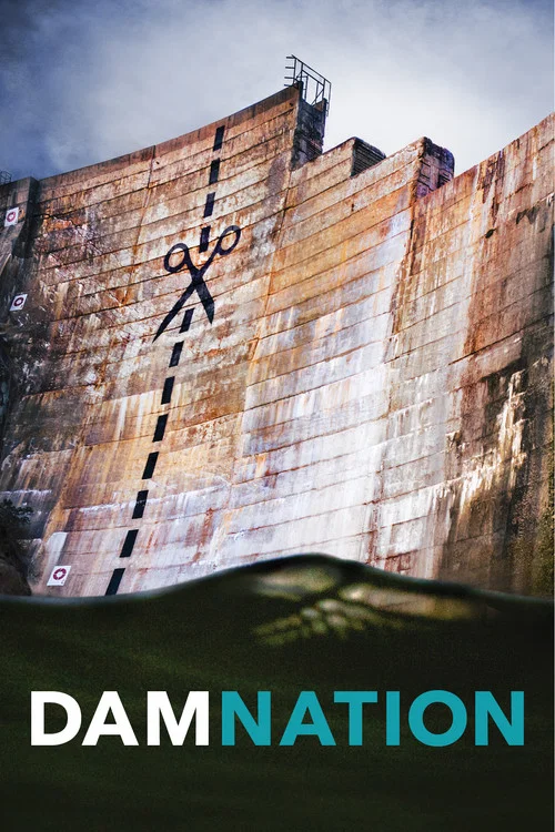 Movie poster for DamNation (2014)