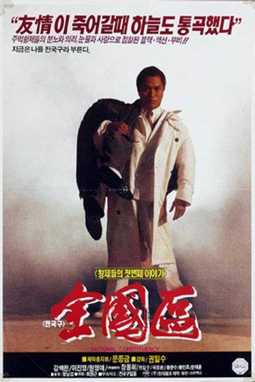 Movie poster for The Nationwide Constituency (1991)