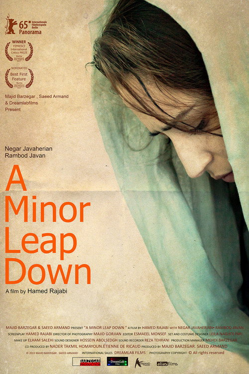 Movie poster for A Minor Leap Down (2015)