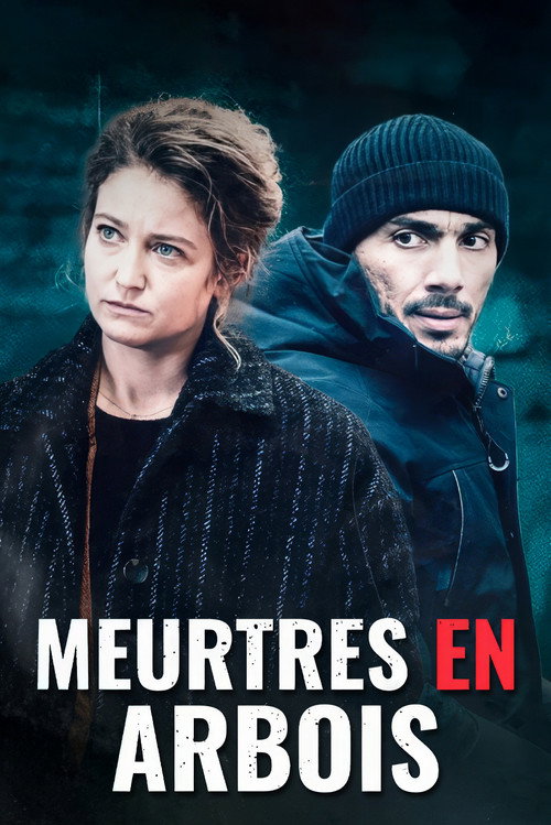 Movie poster for Meurtres en Arbois (2024)
