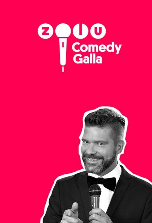 Movie poster for Zulu Comedy Galla 2019 (2019)