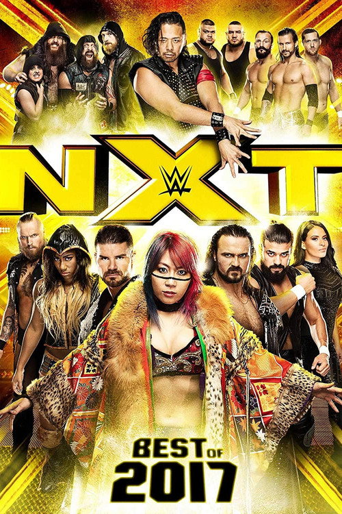 Movie poster for NXT: Best of 2017 (2018)