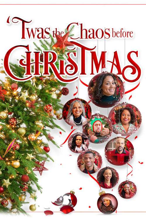 Movie poster for Twas the Chaos Before Christmas (2019)