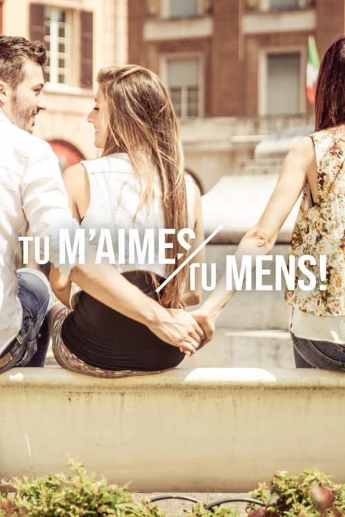 Series poster for Tu m’aimes, tu mens ! (2016)