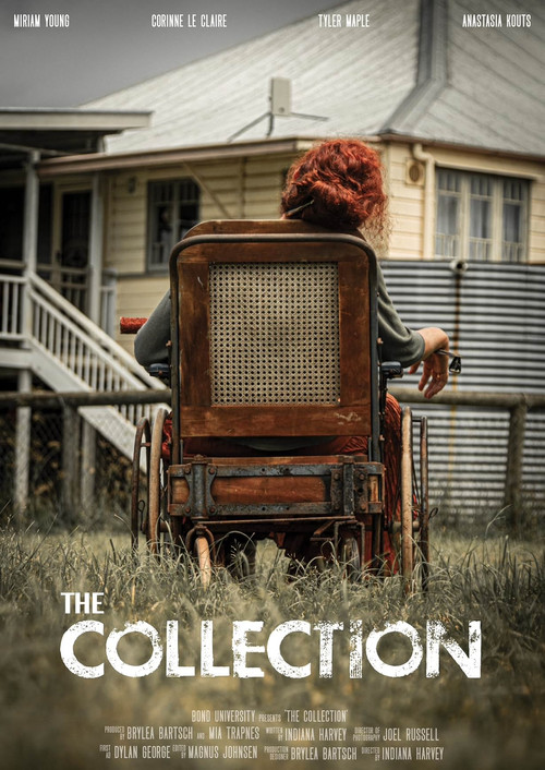 Movie poster for The Collection (2024)
