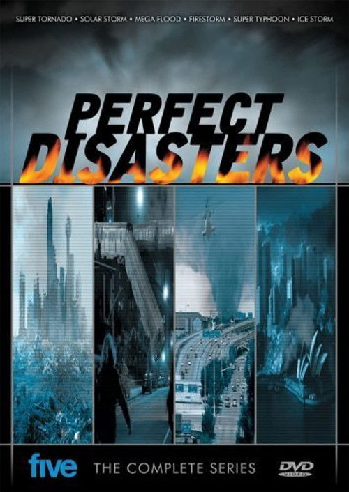 Perfect Disaster poster