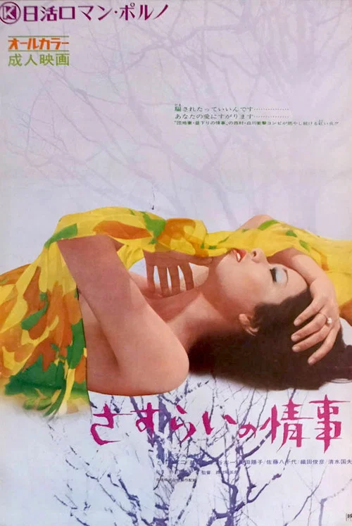 Movie poster for Drifter's Affair (1972)