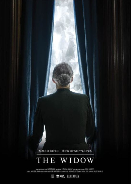 Movie poster for The Widow (2015)