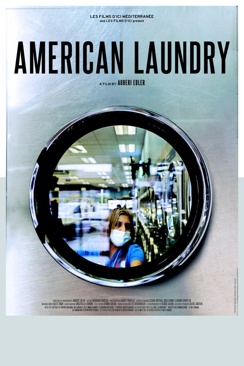 Movie poster for American Laundry (2022)