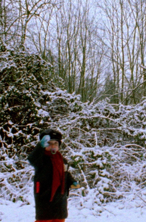 Movie poster for Snowflakes (2022)