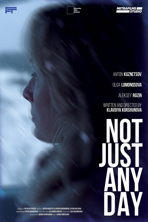 Movie poster for Not Just Any Day (2024)