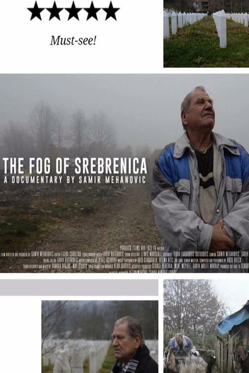 Movie poster for The Fog of Srebrenica (2016)