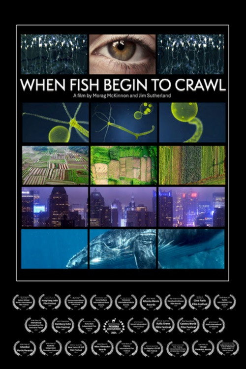 Movie poster for When Fish Begin to Crawl (2023)