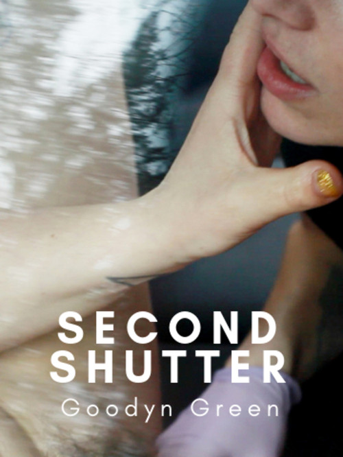 Movie poster for Second Shutter (2018)