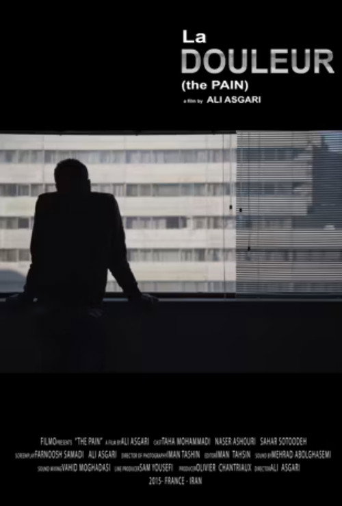 Movie poster for The Pain (2015)