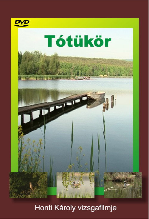 Movie poster for Tótükör (2010)