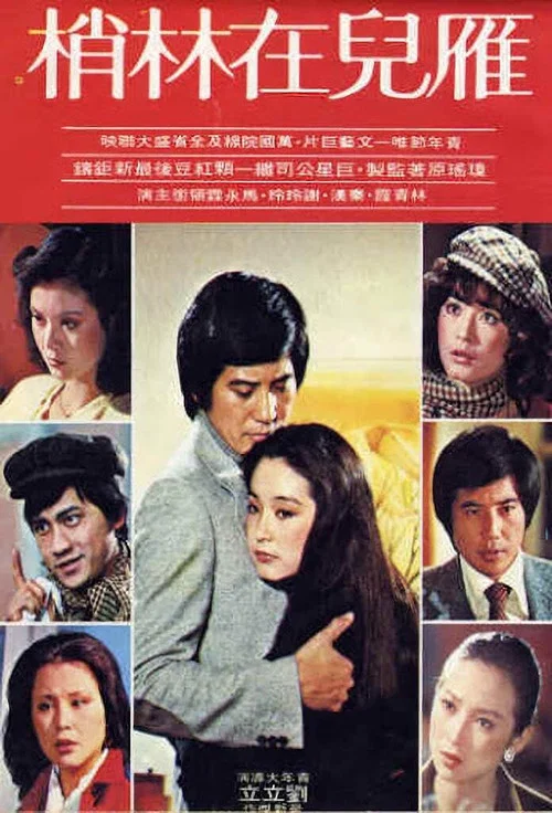 Movie poster for The Wild Goose on the Wing (1979)