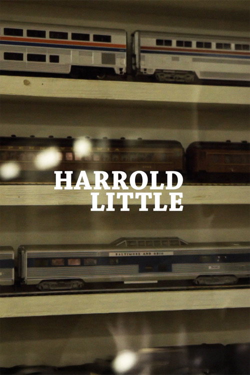 Movie poster for Harrold Litle (2012)