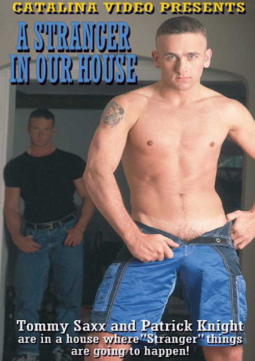 Movie poster for A Stranger in Our House (2001)
