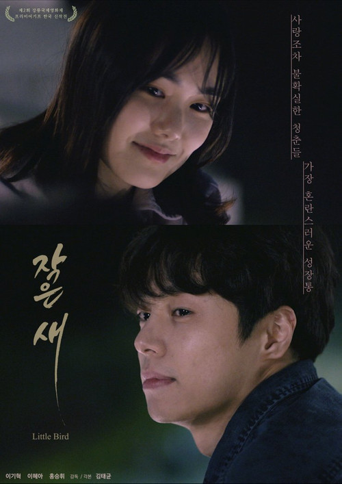 Movie poster for Little Bird (2021)