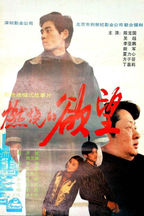 Movie poster for 燃烧的欲望 (1996)