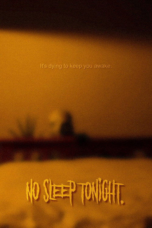Movie poster for No Sleep Tonight (2024)