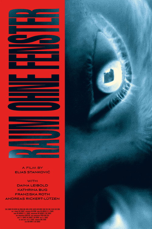 Movie poster for Room without Windows