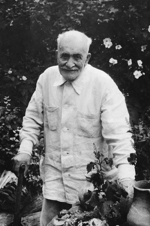 Photo of Mikheil Mamulashvili, Acting