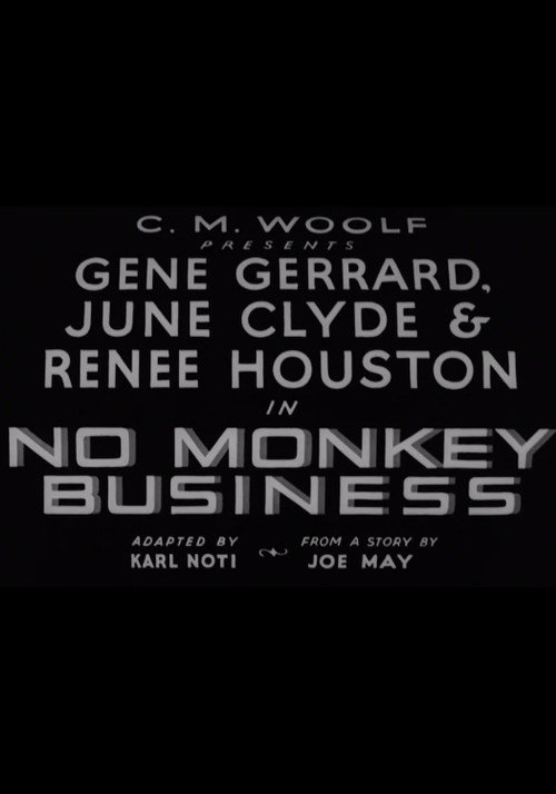 Movie poster for No Monkey Business (1935)