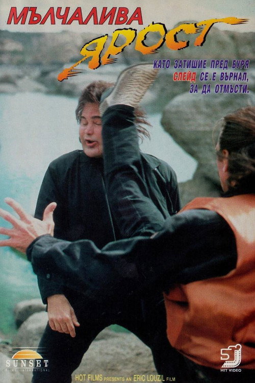 Movie poster for Silent Fury (1994)