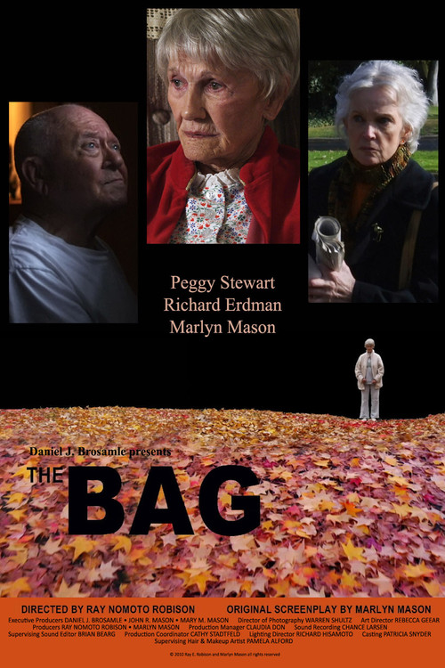 Movie poster for The Bag