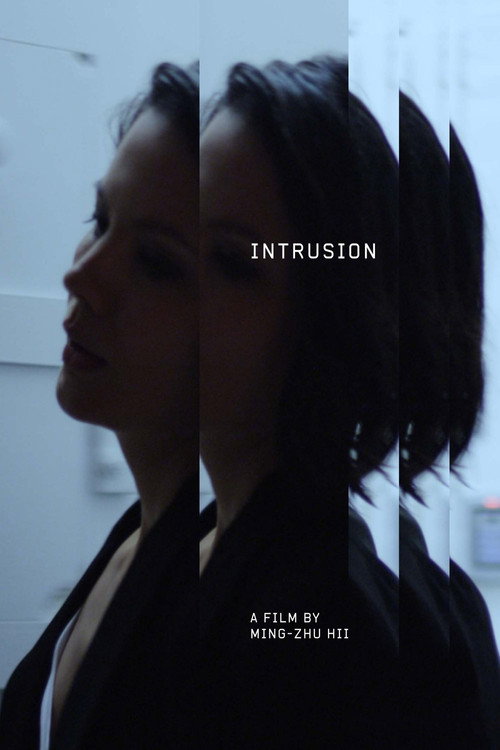 Movie poster for Intrusion (2018)