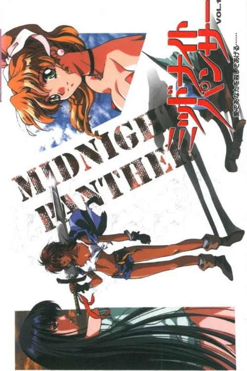 Movie poster for Midnight Panther (1998)