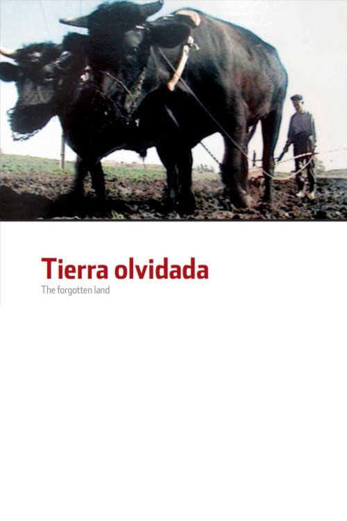 Movie poster for The Forgotten Land (1991)