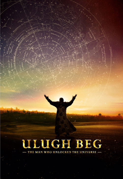 Movie poster for The Man Who Unlocked the Universe (2017)