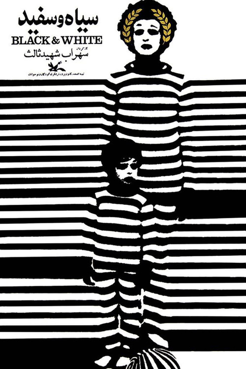 Movie poster for Black and White (1972)