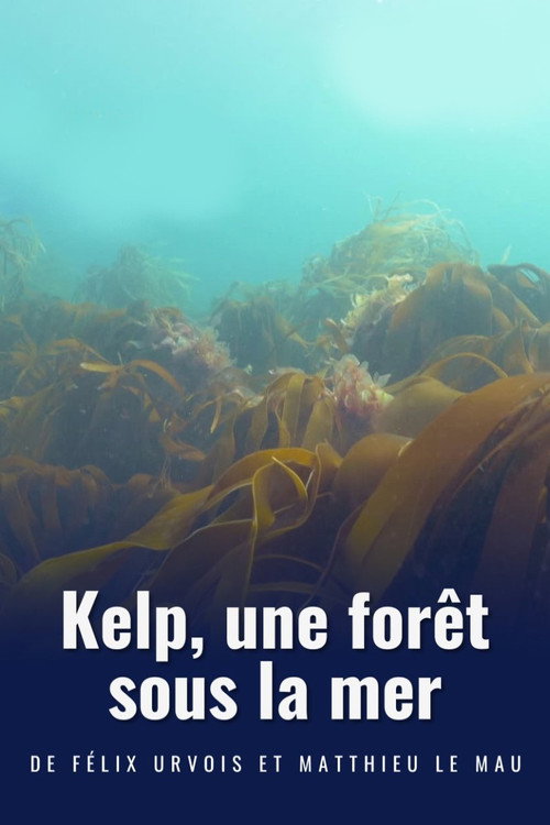 Movie poster for Kelp, une forêt sous la mer (2022)