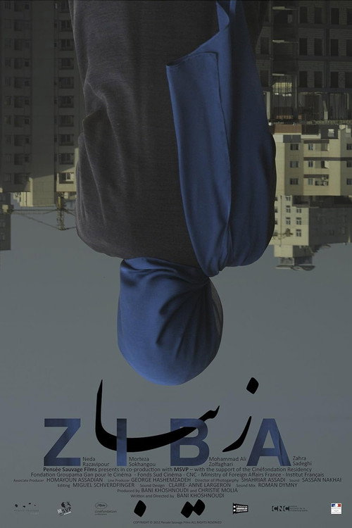 Movie poster for Ziba (2012)