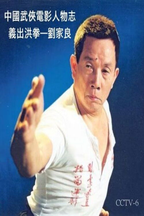 Movie poster for The Master of Martial Arts film director : Lau Kar-leung (2008)