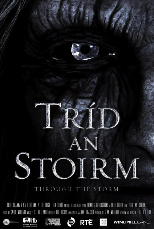 Through the Storm poster