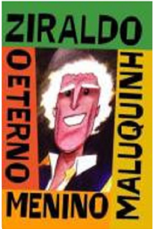 Movie poster for Ziraldo - O Eterno Menino Maluquinho (2007)
