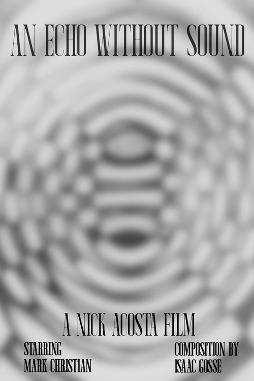 Movie poster for An Echo Without Sound